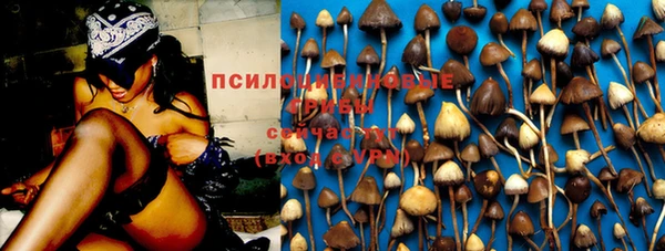 гашик Алзамай