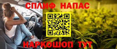 Альфа ПВП Новозыбков