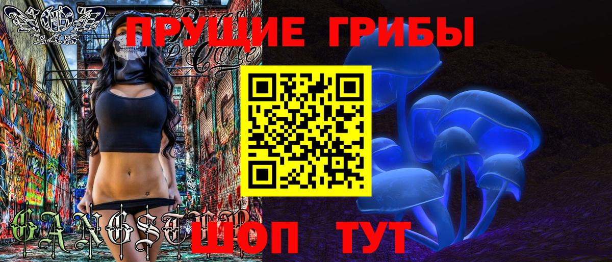 где продают наркотики  Псилоцибиновые грибы Psilocybine cubensis  Вход с VPN  Шатура 