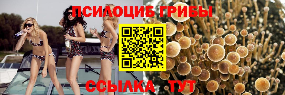 Галлюциногенные грибы ЛСД Шатура